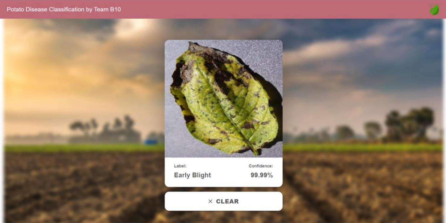Potato Disease Detection